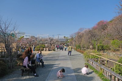 80DSCF9930
