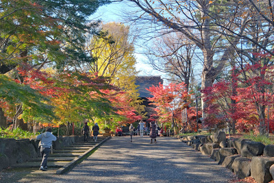 09-2022ǯ12��8��