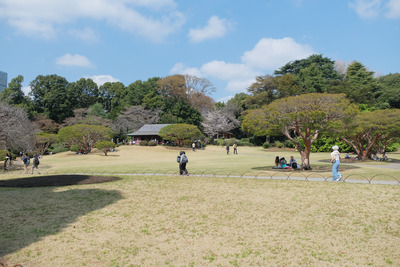 424-DSCF0443