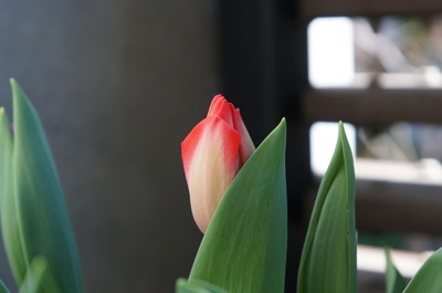 DSC05046