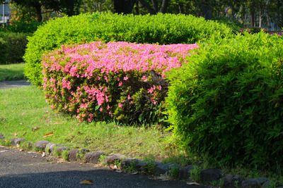 32-DSCF1590