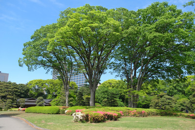 128-DSCF0643