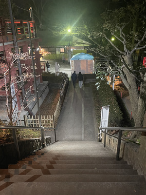 17-IMG_8208