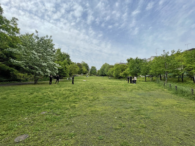 54-IMG_9028