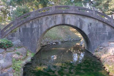 263-DSCF9752