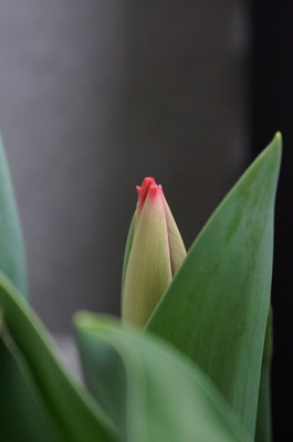 DSC05035
