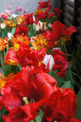 DSC04011-0422