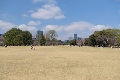 303-3DSCF0307