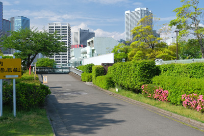 34-DSCF1596