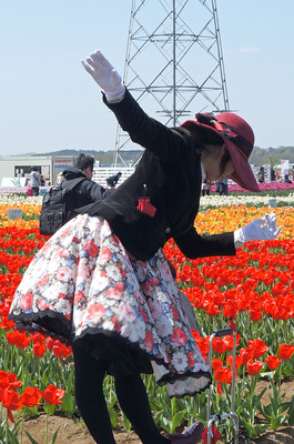 DSC08354
