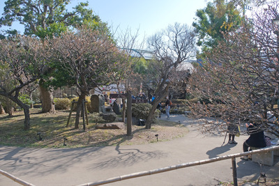 65DSCF9909
