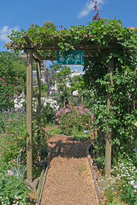 71-1DSCF1462