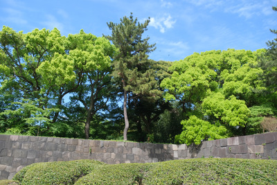 122-DSCF0634