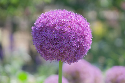 24-DSCF1391