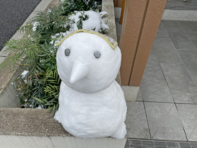 54-IMG_8441