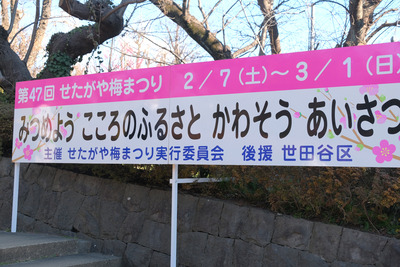 12-DSCF9447