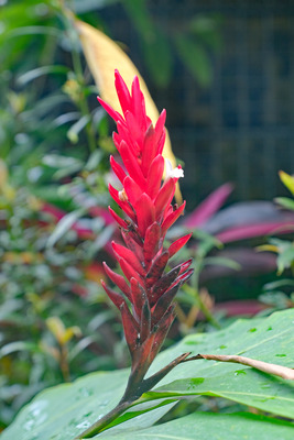 152-1DSCF0149