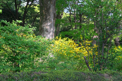 234-DSCF0803