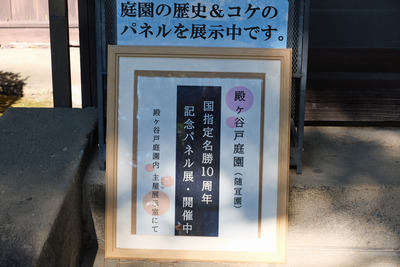 13DSCF4444