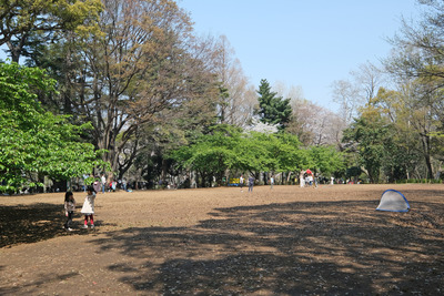 DSCF2454