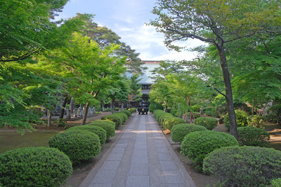 14-DSCF1001