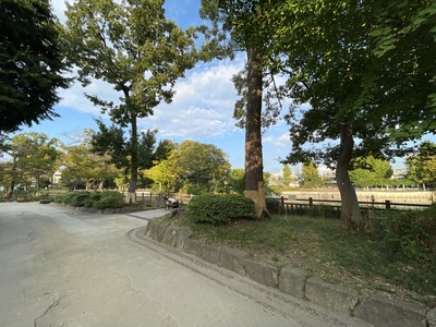11IMG_3959