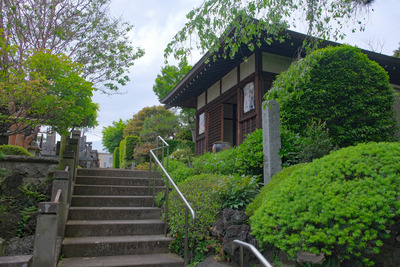 29-DSCF1130