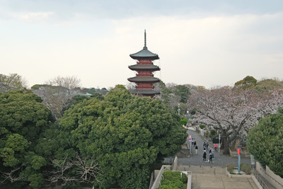 DSCF2742