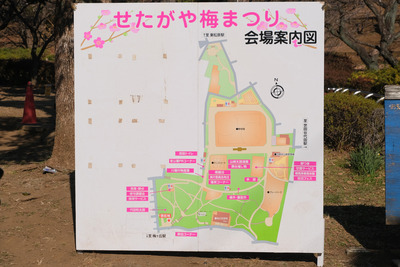 13-DSCF9444