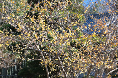 48-DSCF9379