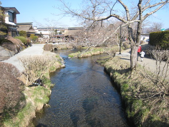 19-3IMG_5206
