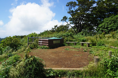 DSC05310