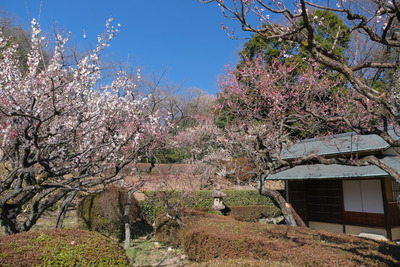142DSCF2228
