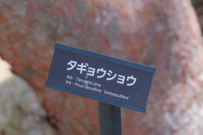 423DSCF0435