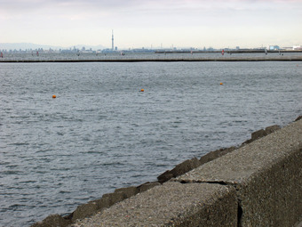 05IMG_4547
