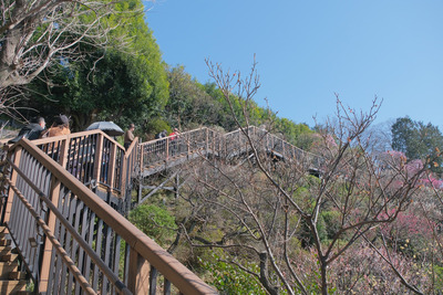 13-DSCF9841