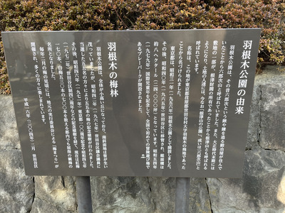 11-3IMG_2267
