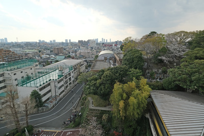 DSCF2734