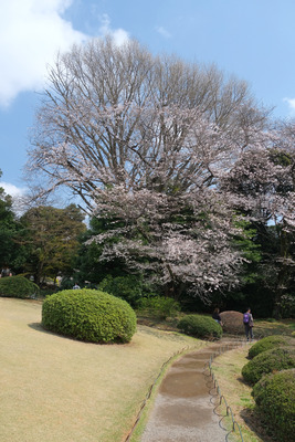 426-DSCF0445