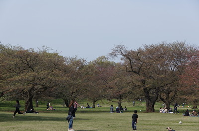 DSC03105