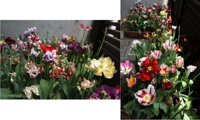 【4月29日 土曜日】