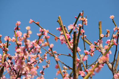 23-2-DSCF9796