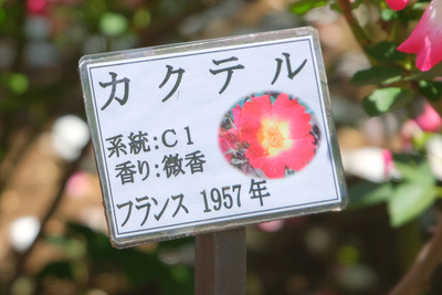 73DSCF1280