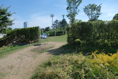 37-DSCF1521