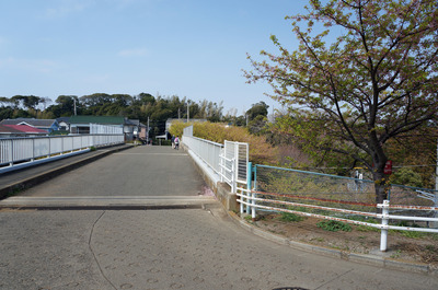 DSC06956