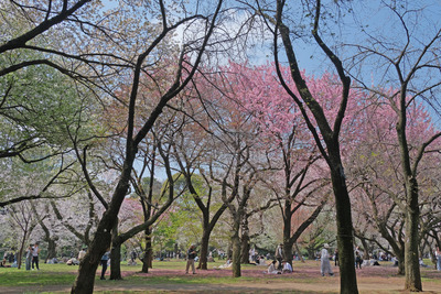 451-DSCF0463