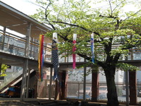 DSCN0897