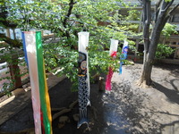 DSCN0902