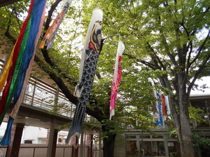 DSCN1450