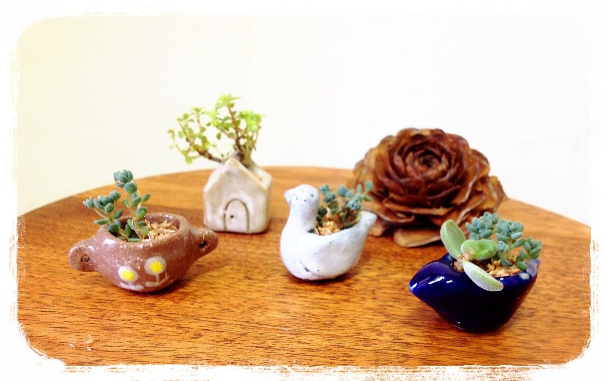 2度目の陶芸 ミニ鉢植えの巻 たんぽぽ手芸のひつじかん